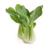 Bok choy chinese cabbage or qing geng cai isolated on white with natural shadows
