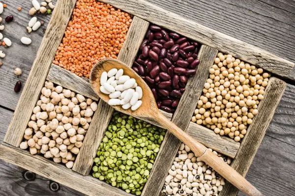 Different kinds of legumes.
