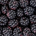 Fresh blackberries close up.