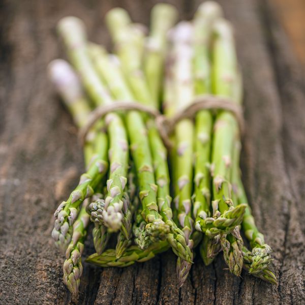 fresh asparagus bunches