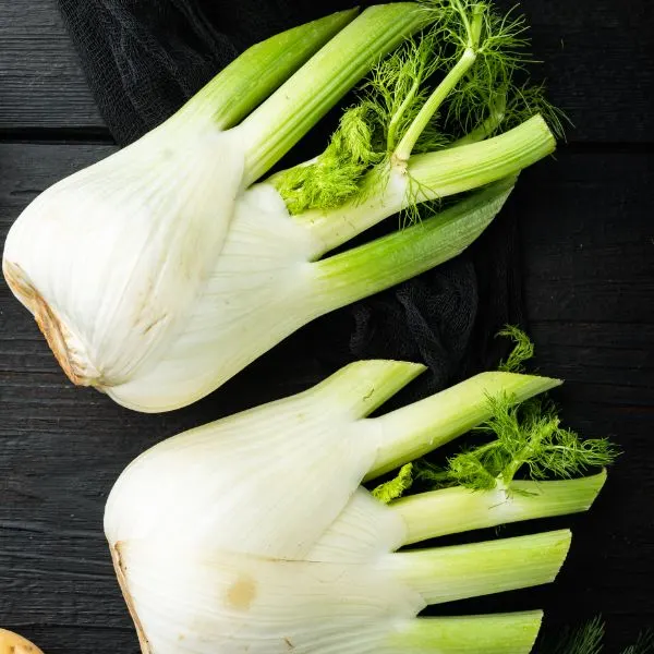 Fresh florence fennel bulbs on black wooden table top view