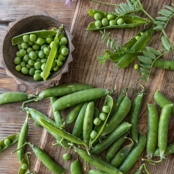 Fresh green peas from a garden topview