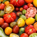 fresh variety of tomatoes