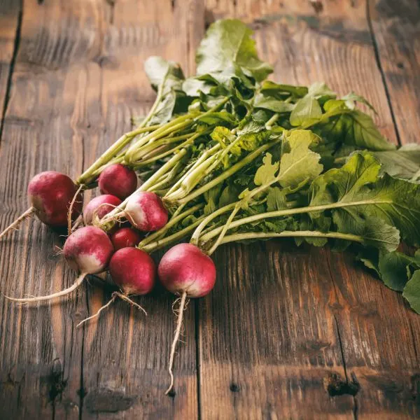 freshly harvested radishes on a wooden board
