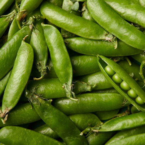 pile-of-fresh-green-peas