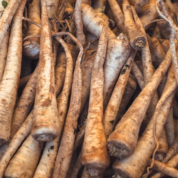 Raw parsnip with earth at the market stall