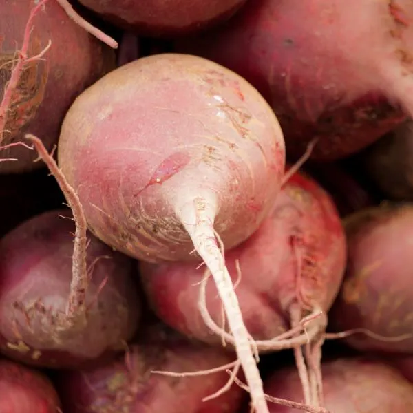 bunch of red-beets