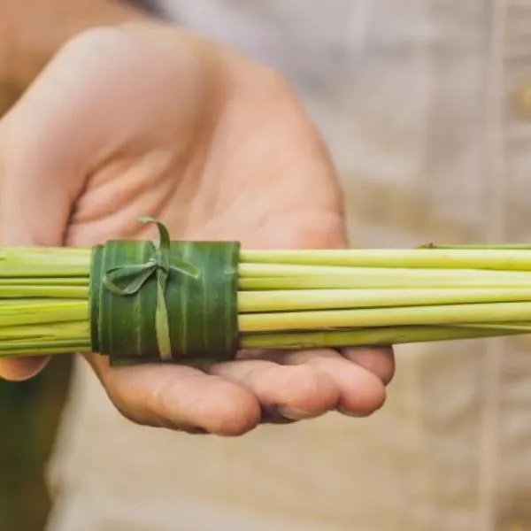 eco-friendly-product-packaging-concept-lemongrass-wrapped-in-a-banana-leaf
