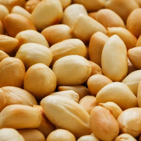 Heap of peanuts image