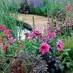 Mixed planting in gravel garden with flowers and grasses