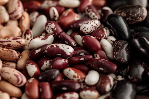 Different kinds of beans close up.