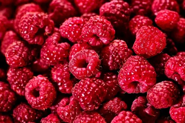 Raspberries close up.