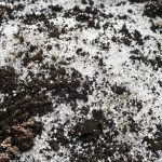Top soil mixed with Perlite