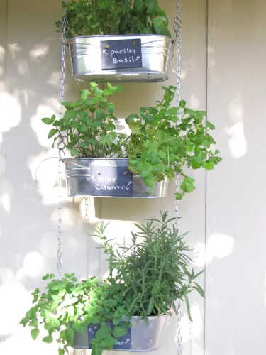 3 tin containers with various herbs in them hanging