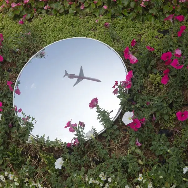 Round mirror laying in garden surrounded by flowers with an airplane in the reflection