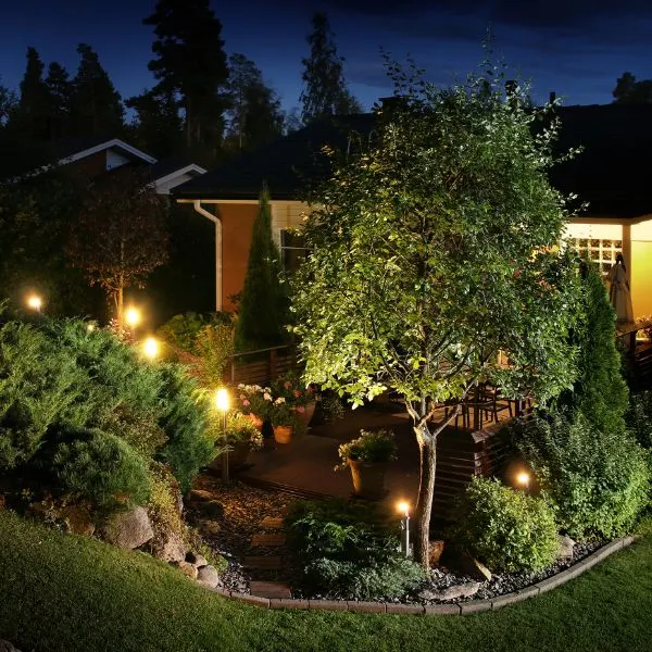 Small garden many bushes and trees with lighting places around