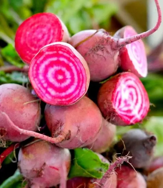 Companion Plants For Beets
