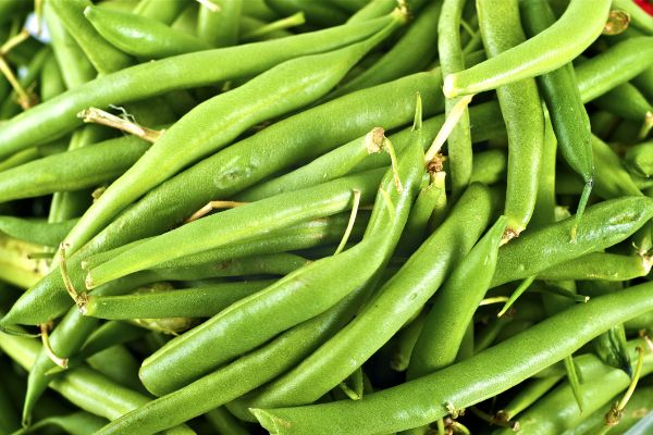Green beans close-up