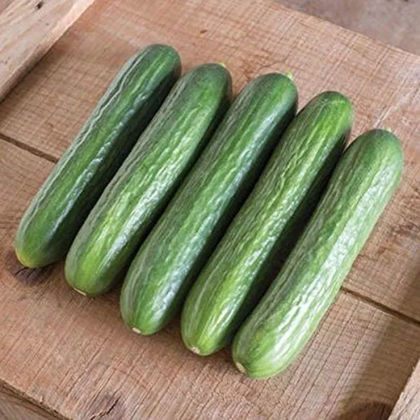 5 Katrina cucumbers on a wooden crate top