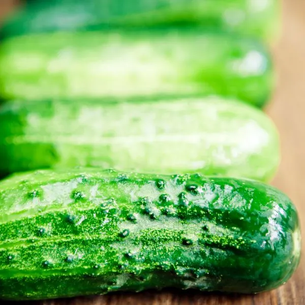 Close up of row of Kirby cucumbers on wooden counter