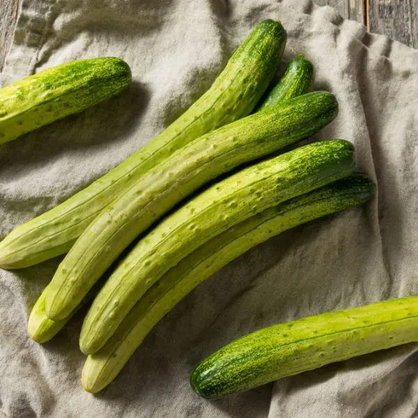 Organic Korean Cucumbers
