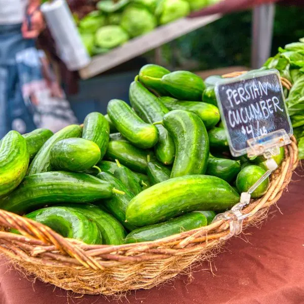 Persian cucumbers at farmers market in a basket