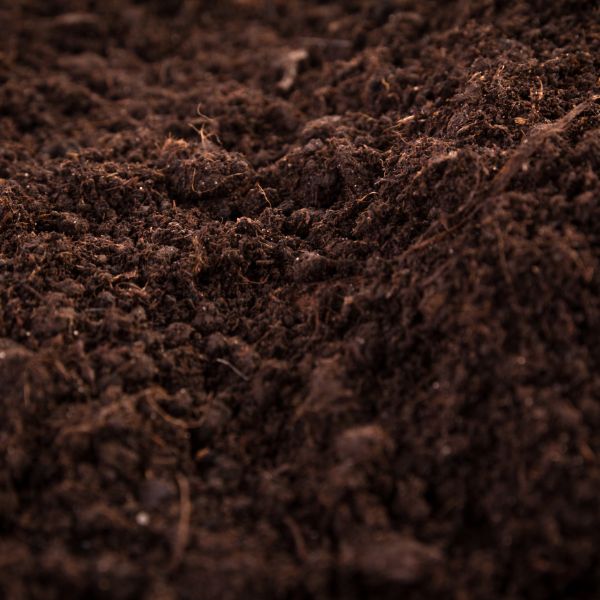 Soil close-up.