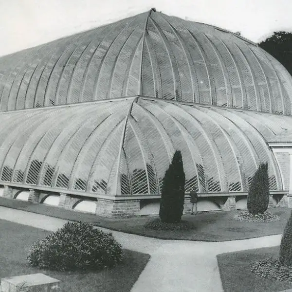 Chatsworth - Great Conservatory in the 19th century - also known as a stovehouse