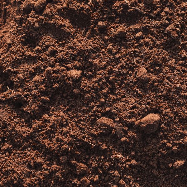 Close up of loam soil