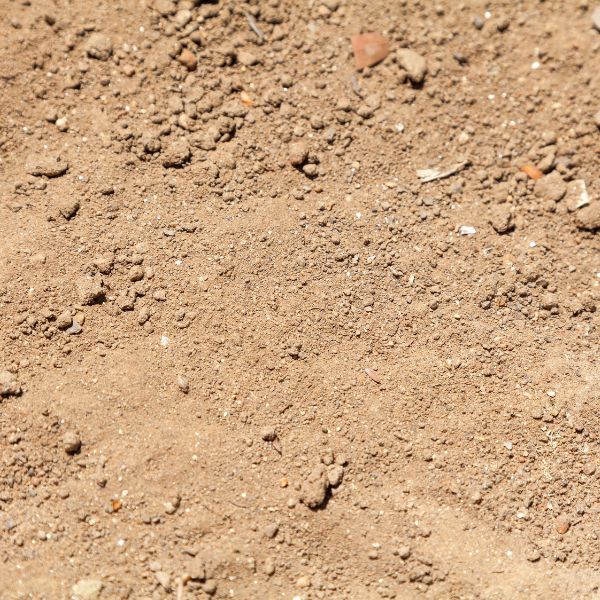 Close up of sandy loam soil