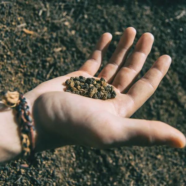 Close up of volacanic soil being held in a hand