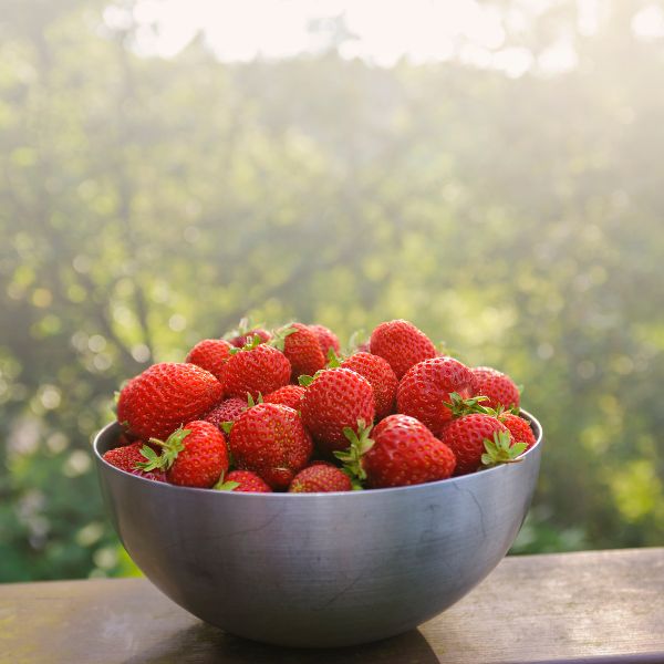 Honeoye Strawberries in a bowl