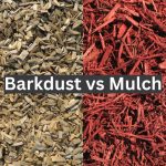 Barkdust vs Mulch
