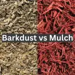 Barkdust vs Mulch