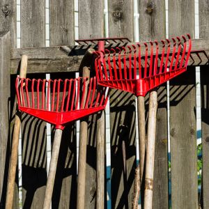 Several different types of rakes hanging on a fence
